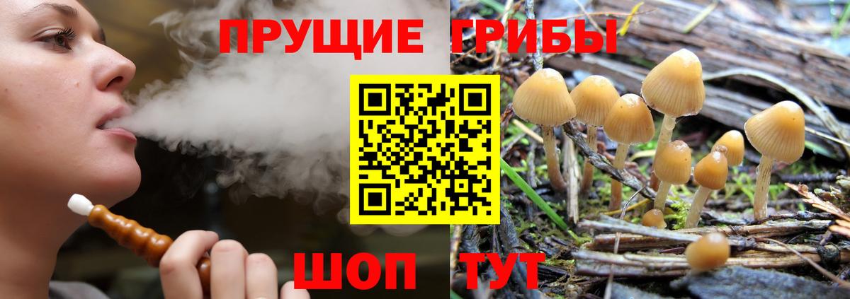 Галлюциногенные грибы мицелий  Вход с VPN  Чита 