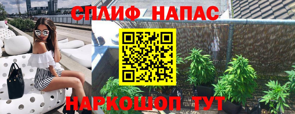Канабис индика Чита